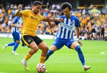 Highlights: Brighton 0-0 Wolverhampton In Premier League | 01/22/2024 -  VAVEL USA