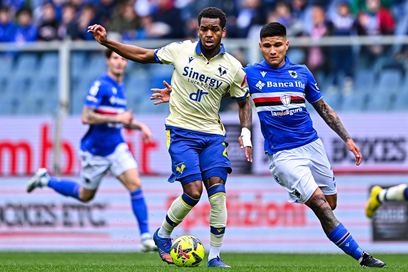 Sampdoria - Verona - 3:1. Italian Championship, 27th round. Match review,  statistics (March 19, 2023) — dynamo.kiev.ua