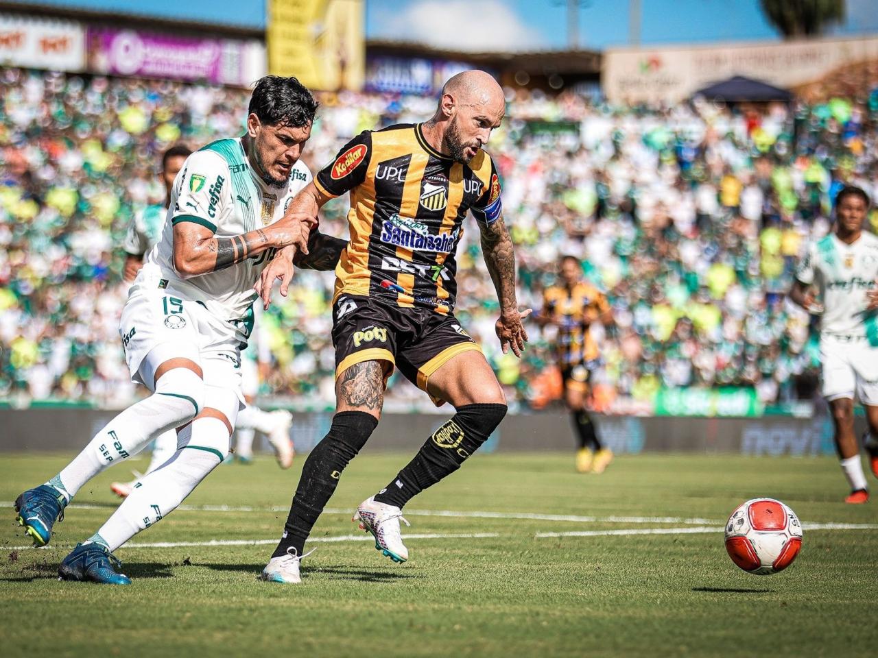 Palmeiras vs Novorizontino Prediction, Betting, Tips, and Odds | 29 MARCH  2024