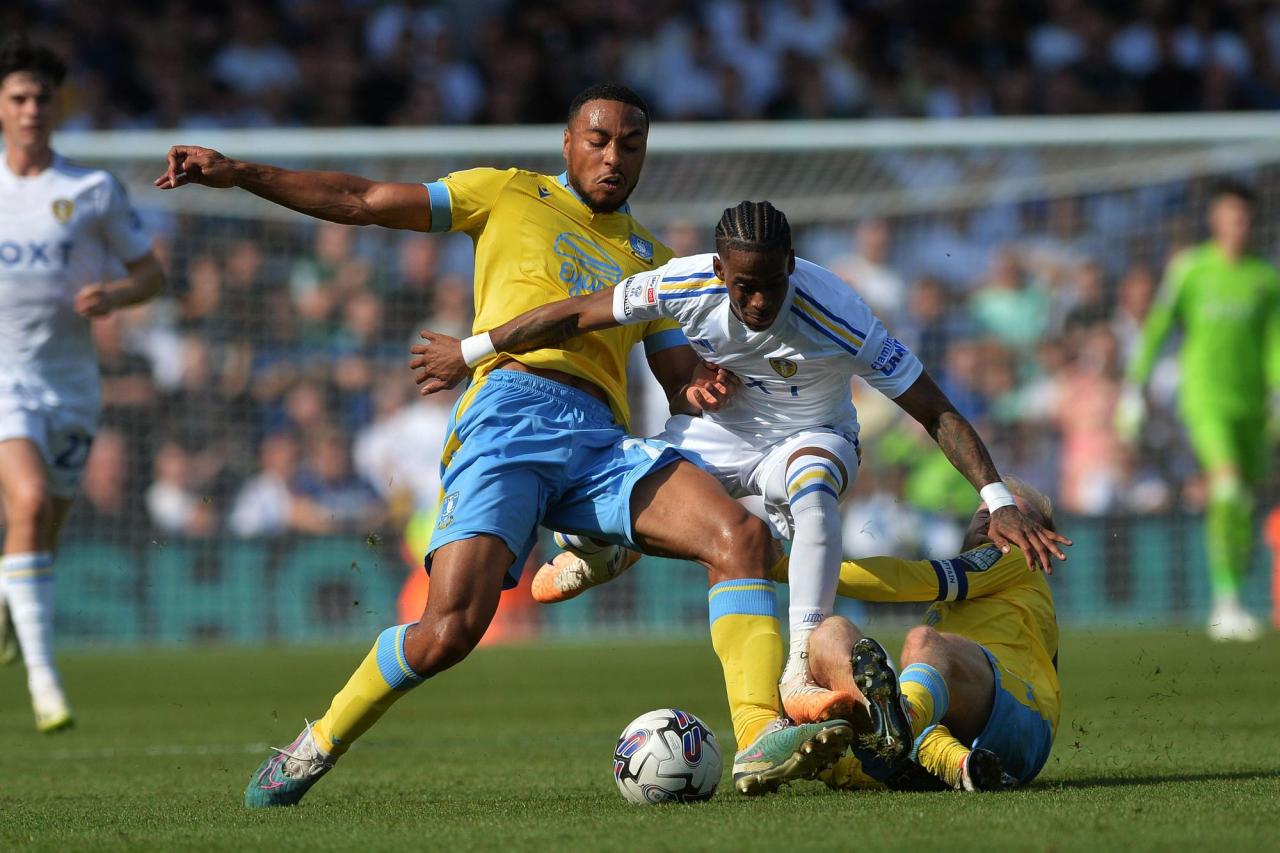 Leeds United reminded only half the battle is done - Graham Smyth's  Sheffield Wednesday Verdict