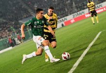 FC St.Gallen 1879 - 20231208_Vorschau-YB-FCSG