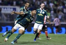 Botafogo vs Palmeiras, 07h30 ngày 18/07