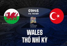 Nhận định bóng đá Wales vs Thổ Nhĩ Kỳ UEFA Nations League