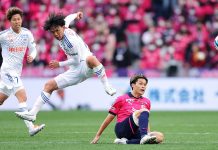 Nhận định soi kèo Albirex Niigata vs Machida Zelvia lúc 17h00 ngày 4/9/2024  - Xoilac Z