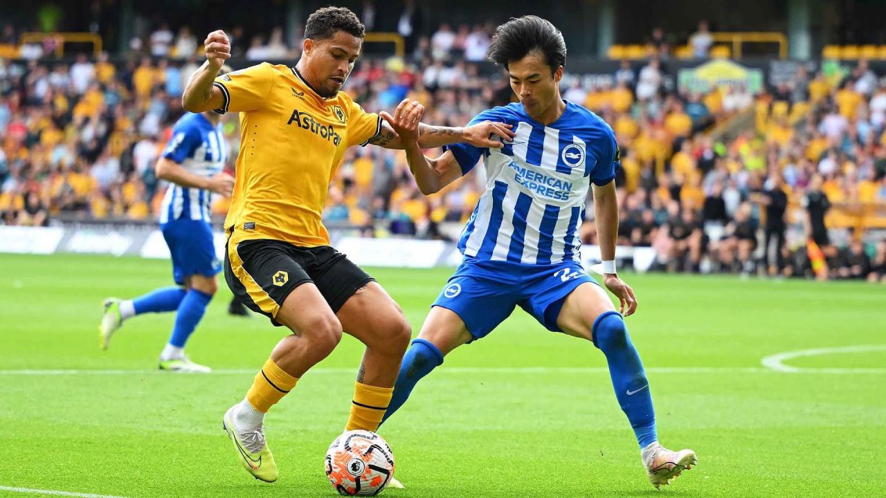 Brighton vs Wolves, 21h ngày 26/10