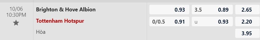 Tỷ lệ kèo Brighton vs Tottenham