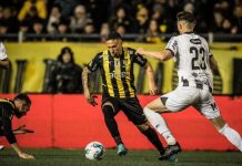 Danubio vs Penarol, 01h00 ngày 17/10