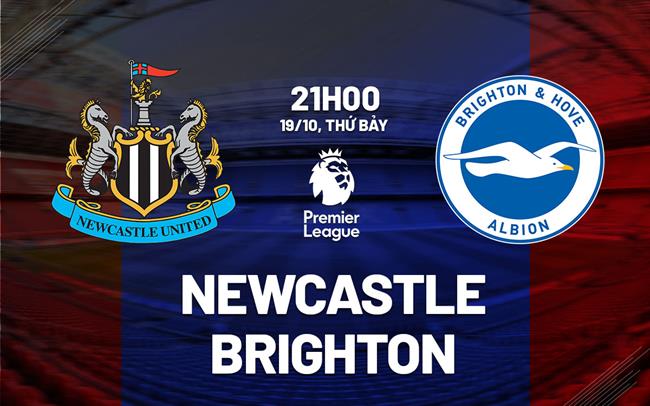 Nhận định Newcastle vs Brighton Premier League: Chờ mưa bàn thắng