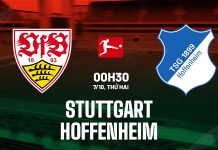 Nhận định bóng đá Stuttgart vs Hoffenheim VĐQG Đức hôm nay