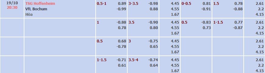 Tỷ lệ kèo Bundesliga Hoffenheim vs Bochum
