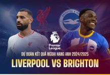 Nhận định Liverpool vs Brighton, 22h00 ngày 02/11 Dự đoán kết quả Liverpool vs Brighton Ngoại hạng Anh 2024/2025