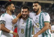 Nhận định Algeria vs Liberia, 23h00 ngày 17/11 Nhận định Algeria vs Liberia, Vòng loại CAN Cup, lực lượng, đội hình dự kiến