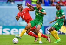 Nhận định Namibia vs Cameroon, 20h00 ngày 13/11 Đánh bại Cameroon, Thụy Sĩ khởi đầu thuận lợi ở World Cup 2022 - Báo An Giang Online