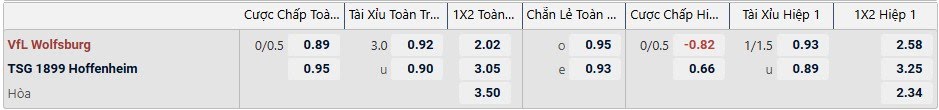 Tỉ lệ kèo Wolfsburg vs Hoffenheim