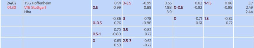 Tỷ lệ kèo Bundesliga Hoffenheim vs Stuttgart