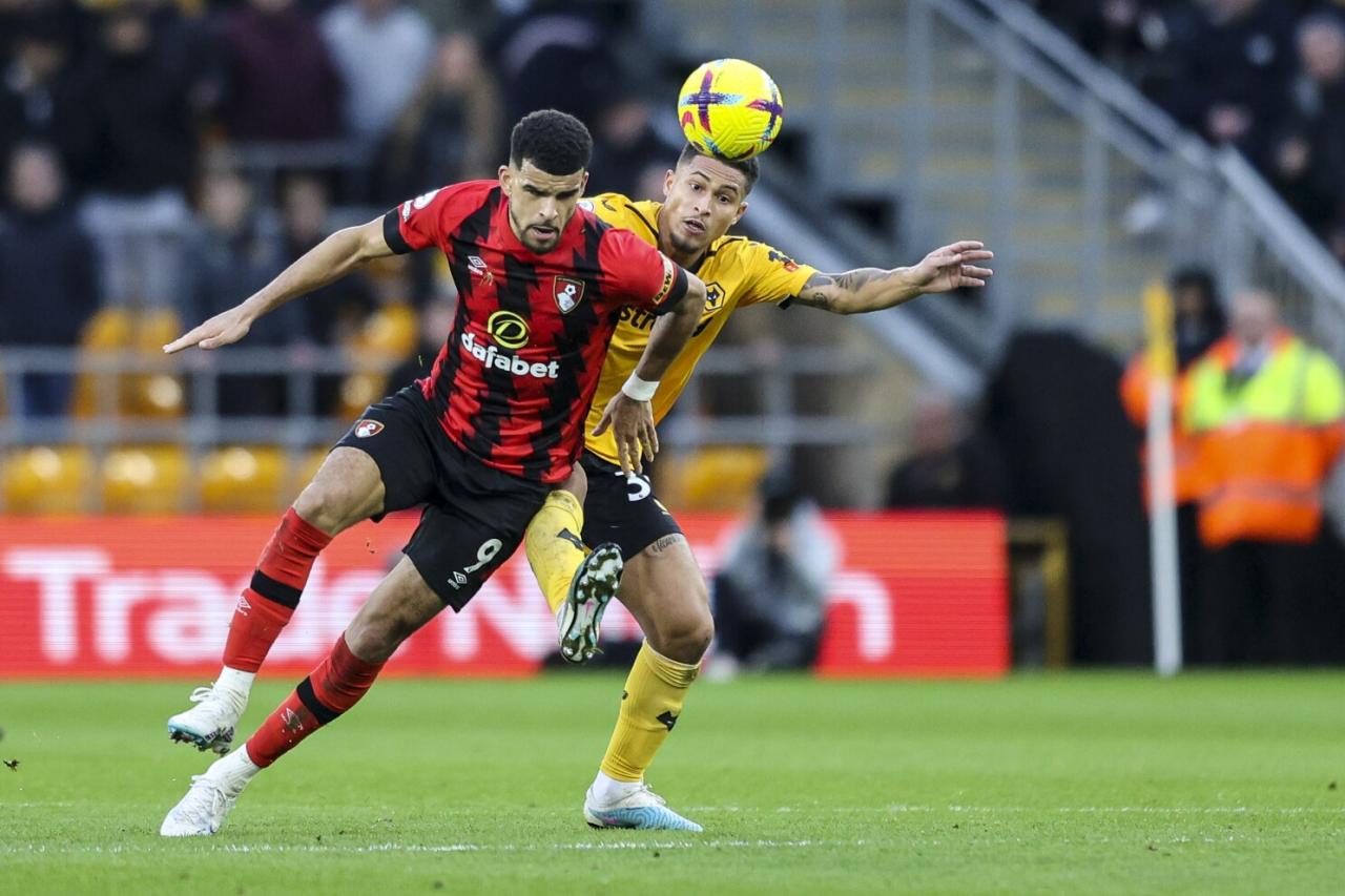 Nhận định bóng đá Wolves vs Bournemouth (01h45, 25/4), đá bù vòng 29 Ngoại  hạng Anh