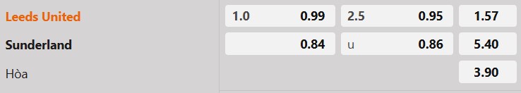 Tỷ lệ kèo Leeds vs Sunderland