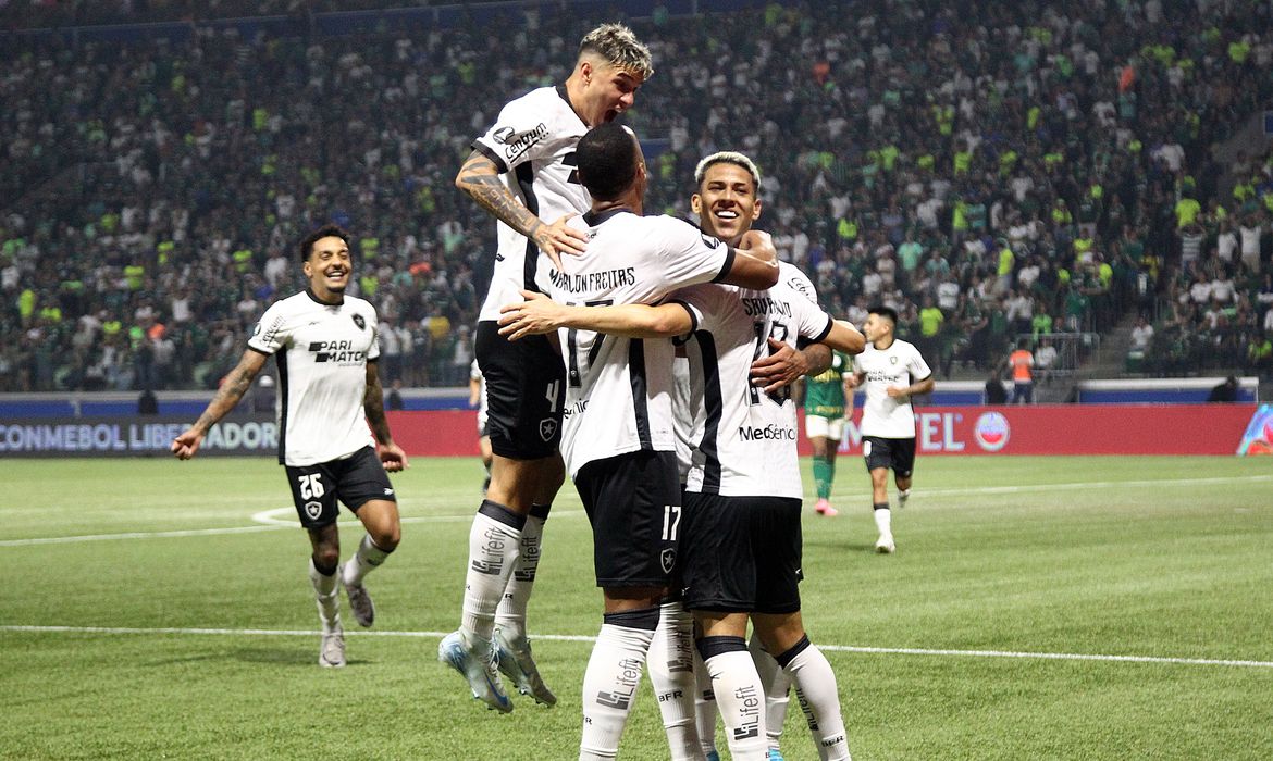 Botafogo segura empate com Palmeiras e avança na Copa Libertadores |  Agência Brasil