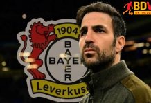 Cesc Fabregas sẽ thay Alonso ở Leverkusen