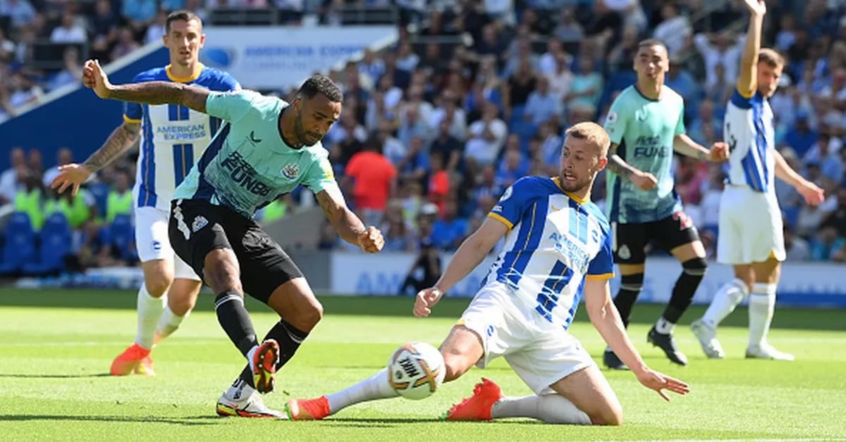 Nhận định Brighton vs Newcastle United: Cân tài cân sức