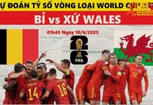 Soi kèo Bỉ vs Xứ Wales, 01h45 ngày 10/6
