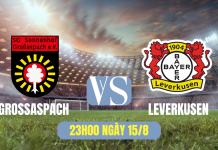 Soi kèo Grossaspach vs Leverkusen, 23h00 ngày 15/8 Nhận định Grossaspach vs Leverkusen: “Đại chiến” không cân sức