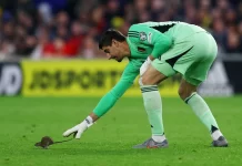 Thibaut Courtois phải đuổi chuột ở vòng loại World Cup 2026