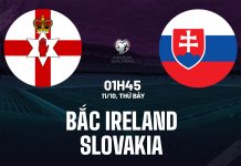 Soi kèo Bắc Ireland vs Slovakia, 01h45 ngày 11/10 Nhận định bóng đá Bắc Ireland vs Slovakia Vòng loại World Cup