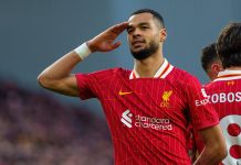 Liverpool được cho sẵn sàng bán Gakpo