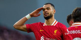 Liverpool được cho sẵn sàng bán Gakpo