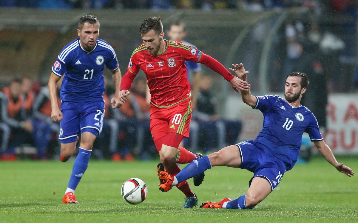 Bosnia and Herzegovina 2-0 Wales: Chris Coleman's side qualify for Euro 2016 despite defeat - The Mirror